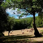 Дом отдыха Domaine De Cantegrel - De Charme Et Troglodyte En Perigord Витрак