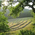 Semesterbostad Domaine De Cantegrel - De Charme Et Troglodyte En Perigord Vitrac (Dordogne)