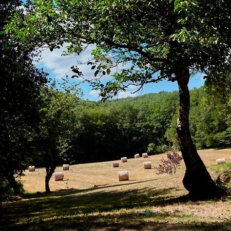 別荘 Domaine De Cantegrel - De Charme Et Troglodyte En Perigord ヴィトラック