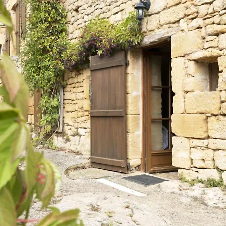 別荘 Domaine De Cantegrel - De Charme Et Troglodyte En Perigord