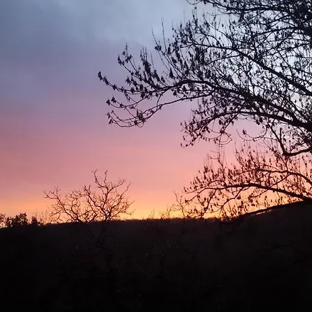 Hébergement de vacances La Maison Bleue - De Charme