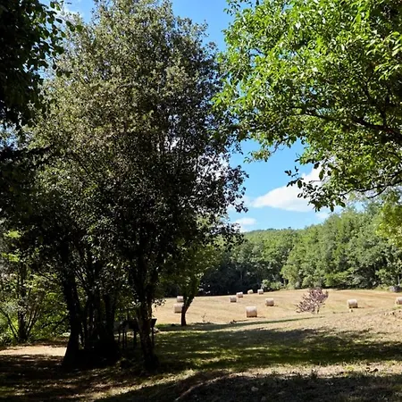 別荘 Domaine De Cantegrel - De Charme Et Troglodyte En Perigord ヴィトラック
