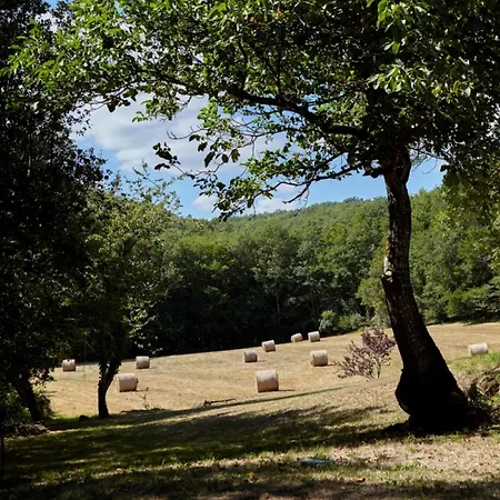 Domaine De Cantegrel - De Charme Et Troglodyte En Perigord 別荘 ヴィトラック